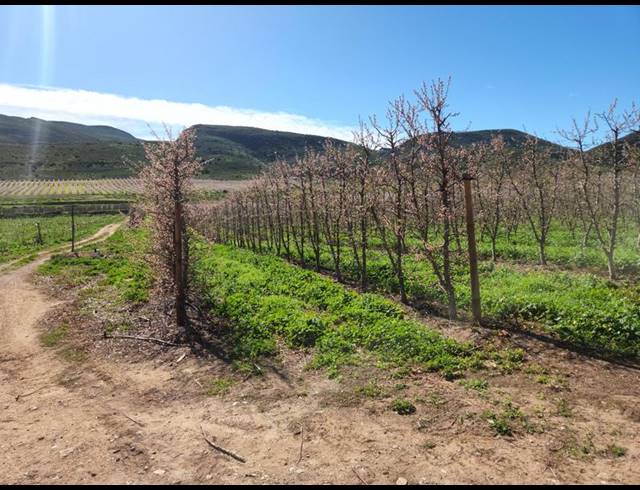 FARM FOR SALE IN MONTAGU